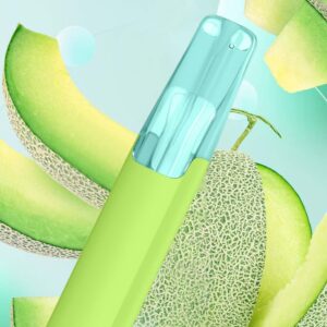 Taste Boosted DASH Sweet Honeydew